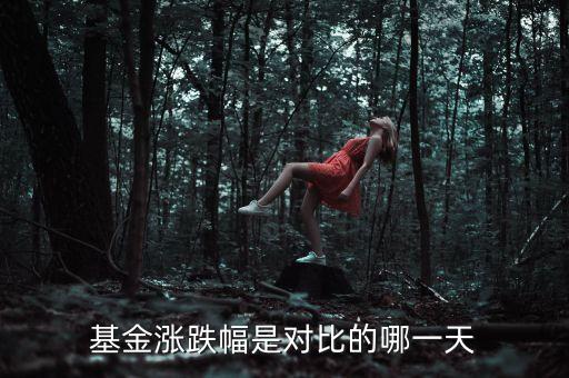 基金漲跌幅是對比的哪一天