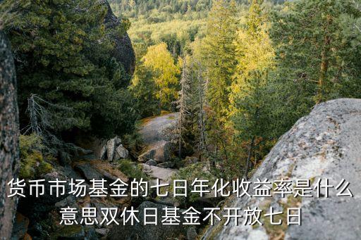 7天平均收益率是什么，7日年化收益率是什么