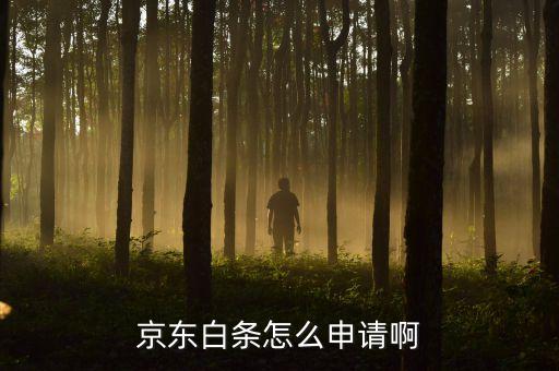 什么申請(qǐng)京東白條額度，京東白條怎么申請(qǐng)啊