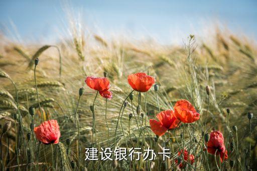 建設(shè)銀行辦卡