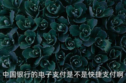 中國銀行電子支付是什么，中國銀行的電子支付是不是快捷支付啊