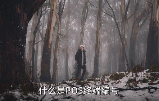 什么是POS終端編號
