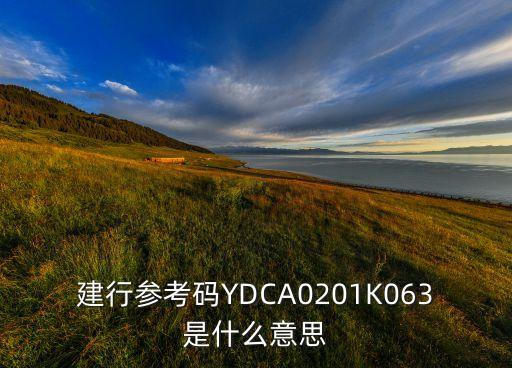 建行參考碼YDCA0201K063是什么意思
