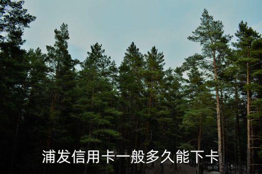 浦發(fā)信用卡一般多久能下卡