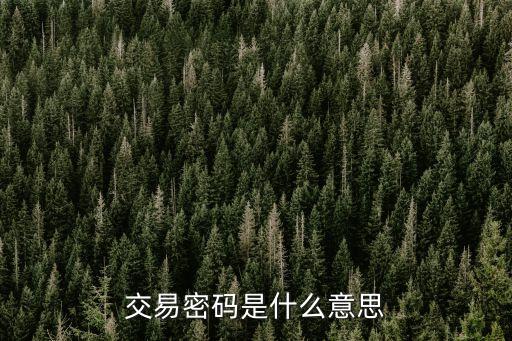 農(nóng)行交易密碼什么意思，農(nóng)行網(wǎng)銀支付密碼指的是甚么