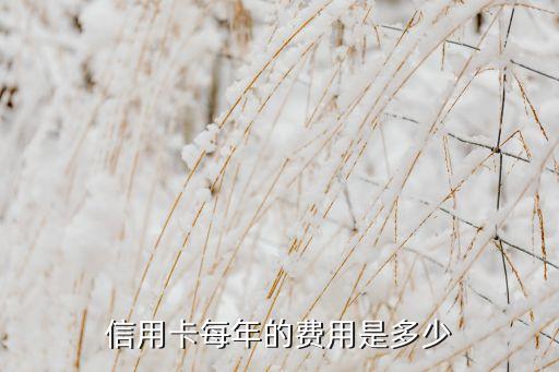 信用卡每年的費用是多少
