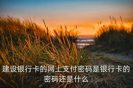 建行的支付密碼是什么密碼是什么樣的，建行網(wǎng)上銀行所需要的支付密碼是哪一個(gè)密碼是銀行卡的密碼還是什