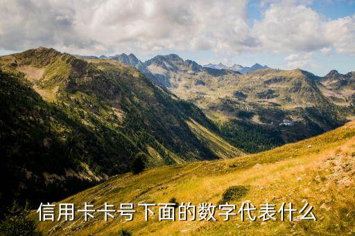 信用卡卡號(hào)下面的數(shù)字代表什么