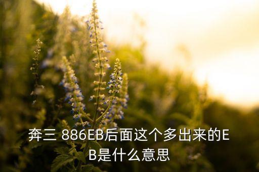 奔三 886EB后面這個(gè)多出來(lái)的EB是什么意思
