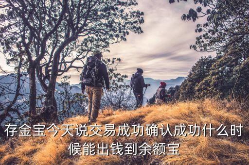 存金寶今天說(shuō)交易成功確認(rèn)成功什么時(shí)候能出錢到余額寶