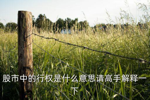 公司股票行權(quán)什么意思，股票行權(quán)是什么意思