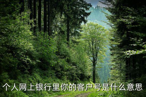 光大網(wǎng)銀客戶號是什么意思，電子銀行業(yè)務(wù)申請表上的客戶號是指什么求大神幫助