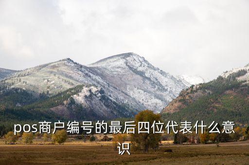 pos商戶編號的最后四位代表什么意識