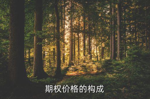 期權(quán)價(jià)格的構(gòu)成