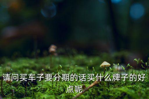 請問買車子要分期的話買什么牌子的好點呢