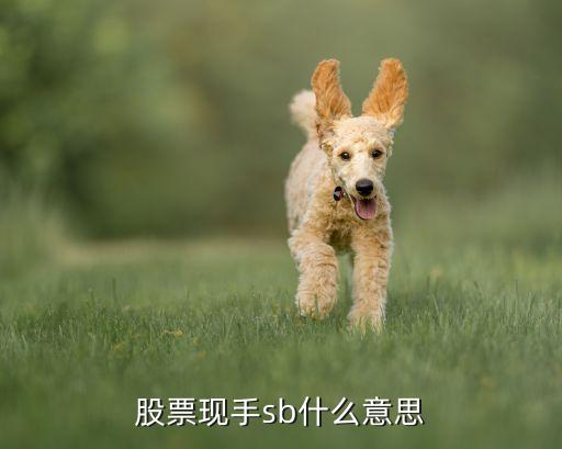 股票現(xiàn)手sb什么意思