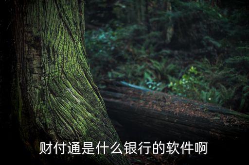 財(cái)付通是什么銀行的軟件啊