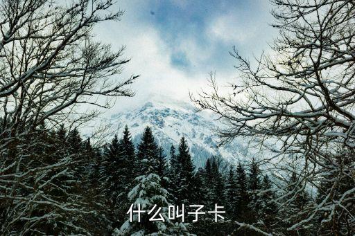 什么叫子卡
