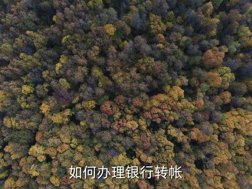 如何辦理銀行轉(zhuǎn)帳