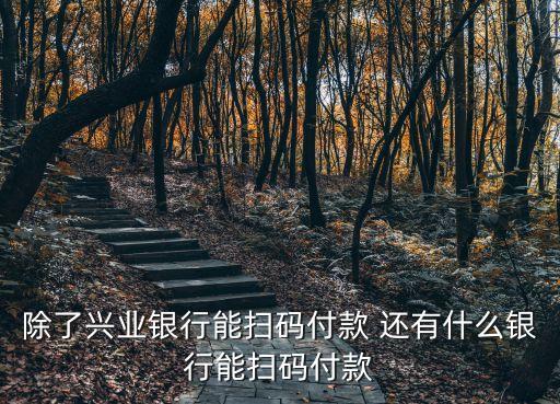 除了興業(yè)銀行能掃碼付款 還有什么銀行能掃碼付款