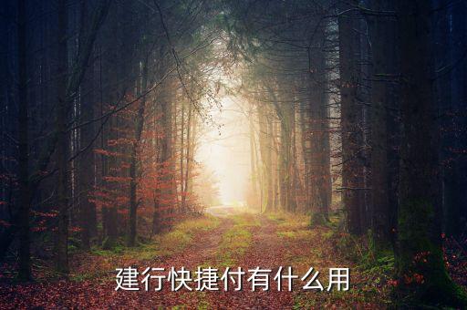 建行快捷付有什么用