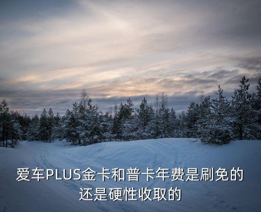 愛車puls卡是什么，工銀愛車plus白金卡都是多少額度