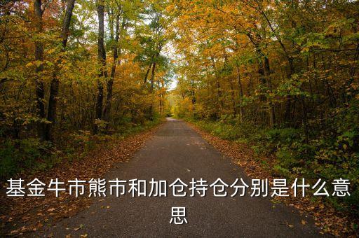 基金加倉什么意思，基金的術(shù)語加倉和補(bǔ)倉分別指什么意思
