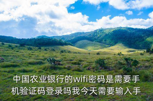 煙臺(tái)農(nóng)業(yè)銀行wifi密碼是什么意思，中國(guó)農(nóng)業(yè)銀行網(wǎng)絡(luò)學(xué)院外網(wǎng)密碼是什么