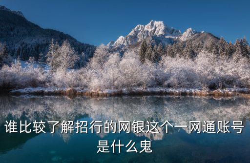 誰比較了解招行的網(wǎng)銀這個(gè)一網(wǎng)通賬號是什么鬼