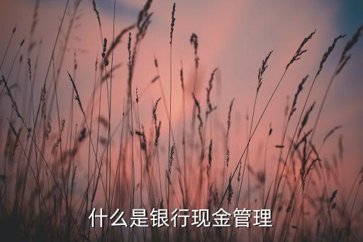 什么是銀行現(xiàn)金管理