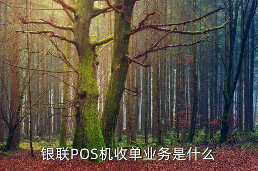銀聯(lián)POS機(jī)收單業(yè)務(wù)是什么