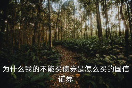 為什么我的不能買債券是怎么買的國信證券