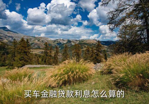 什么是購(gòu)車金融利息，什么是汽車金融