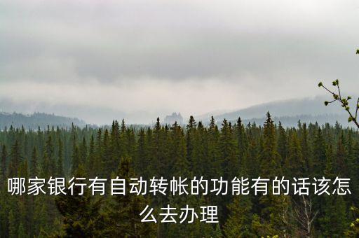 哪家銀行有自動(dòng)轉(zhuǎn)帳的功能有的話該怎么去辦理
