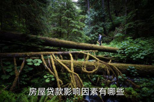 買房房貸受什么影響，影響貸款買房嗎