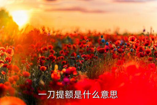 一刀提額是什么意思