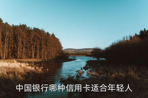 中國(guó)銀行什么信用卡適合年輕人，中國(guó)銀行什么信用卡好