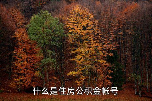 什么是公賬號(hào)密碼是什么樣的，什么是對(duì)公賬號(hào)