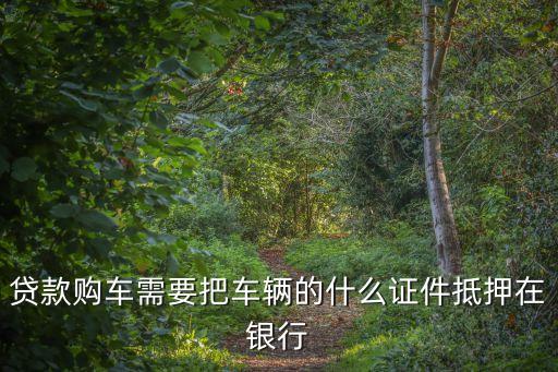 貸款購(gòu)車需要把車輛的什么證件抵押在銀行