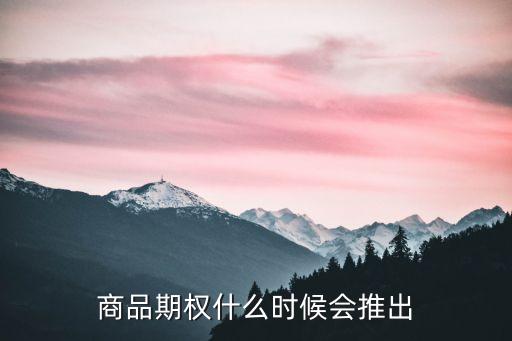 期權(quán)什么時(shí)候上市，商品期權(quán)什么時(shí)候會(huì)推出