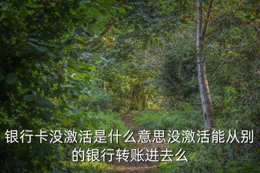 銀行卡沒激活是什么意思沒激活能從別的銀行轉(zhuǎn)賬進(jìn)去么