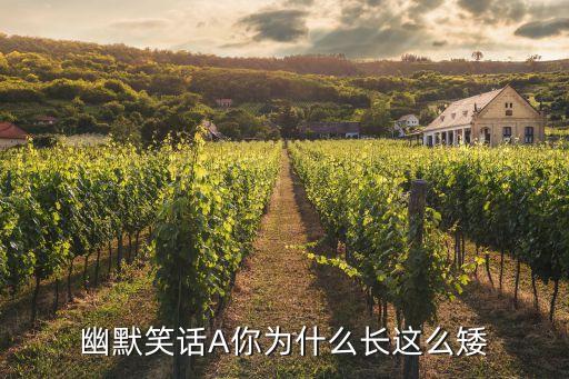 幽默笑話A你為什么長(zhǎng)這么矮
