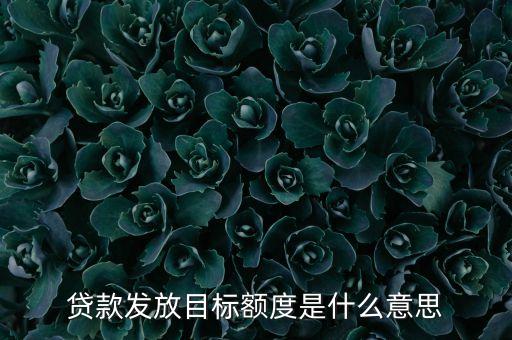 銀行放款額度是什么意思，貸款發(fā)放目標(biāo)額度是什么意思