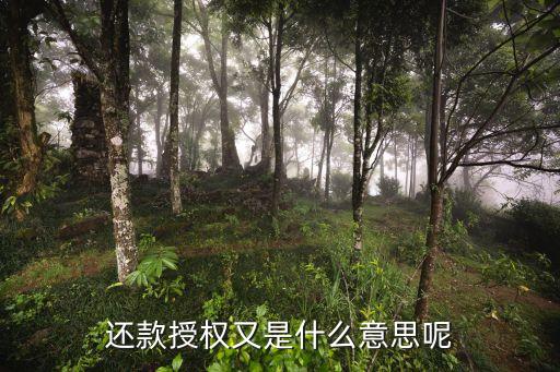 還款授權又是什么意思呢