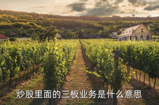 什么叫三板，什么叫三板