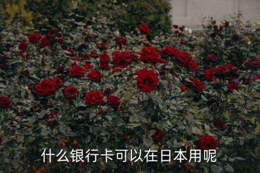 日本能刷什么銀行卡，去日本刷什么卡