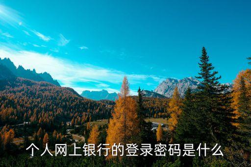 杭州銀行登錄密碼是什么，個人網(wǎng)上銀行的登錄密碼是什么