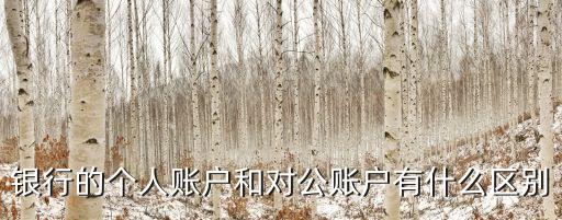 銀行的個人賬戶和對公賬戶有什么區(qū)別