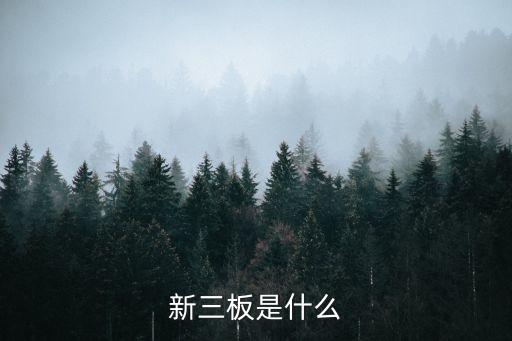 新三板是什么
