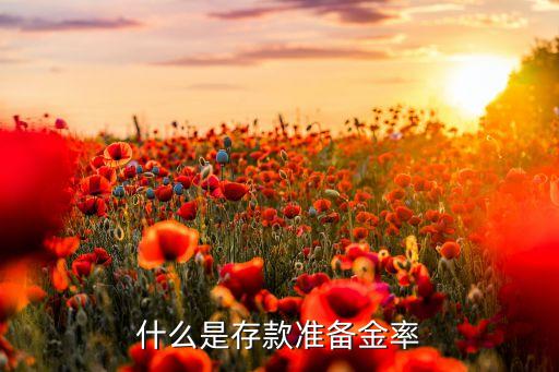 什么是銀行存款準(zhǔn)備金率，什么是存款準(zhǔn)備金率